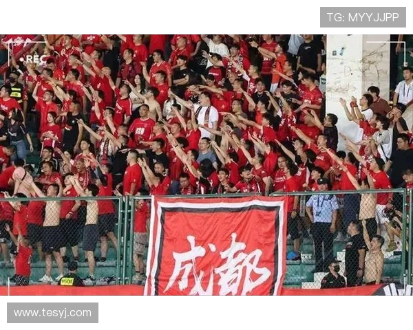 成都蓉城严斥球迷恶意涂鸦 承诺依规重罚维护赛事文明(1)